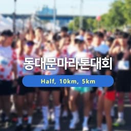 2026 동대문마라톤