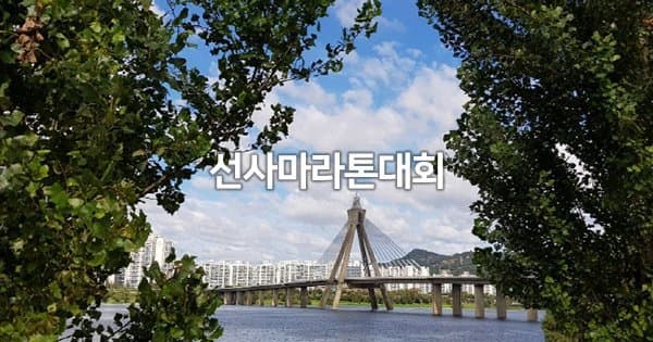 2026(20회) 선사마라톤