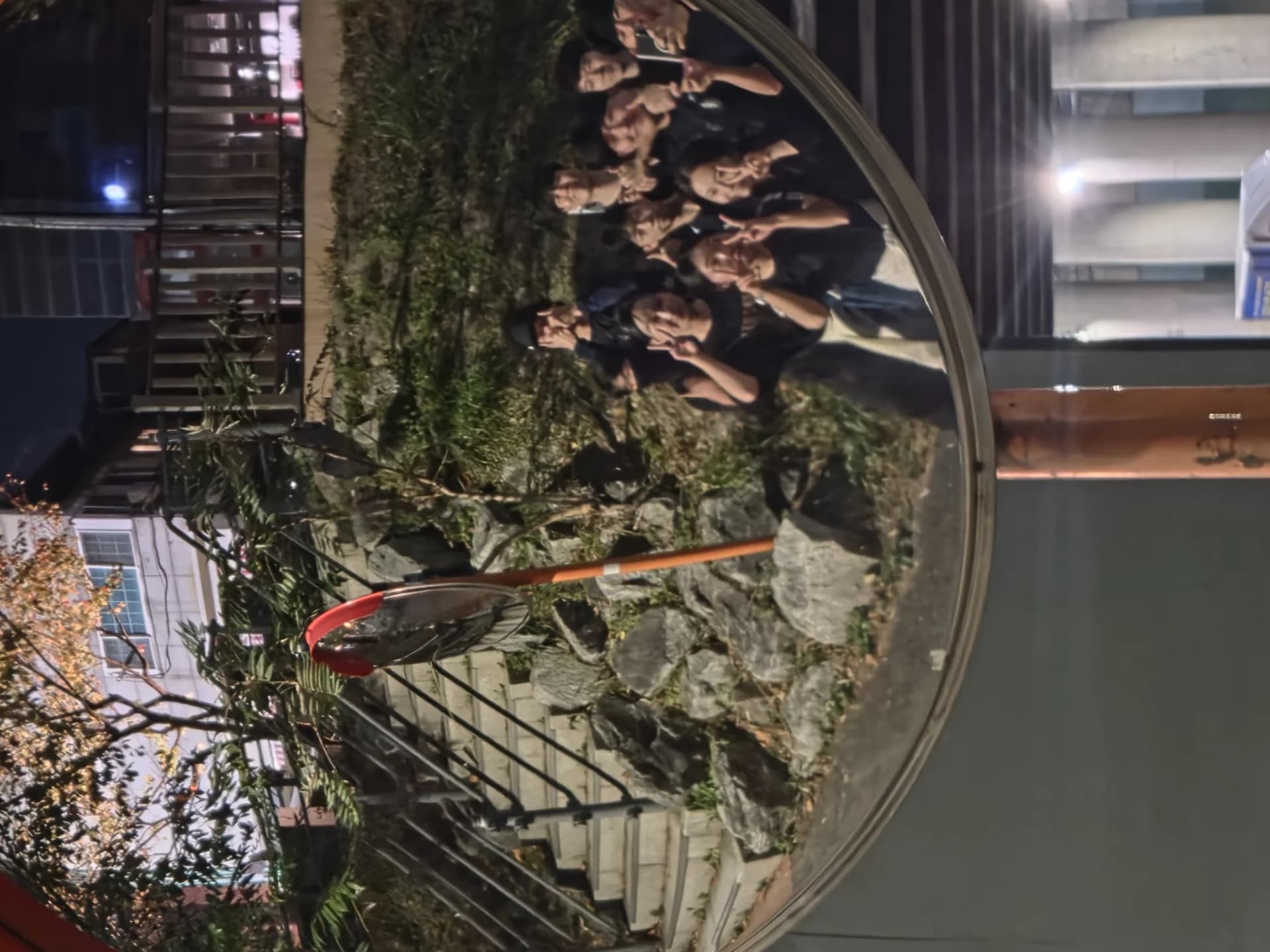 C.P.R 활동 사진 4
