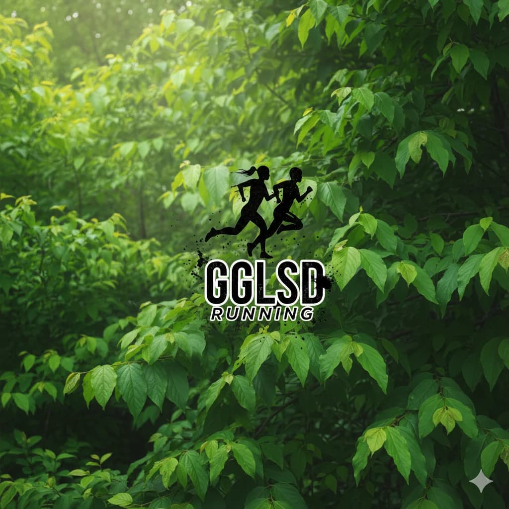 경기광주LSD러닝