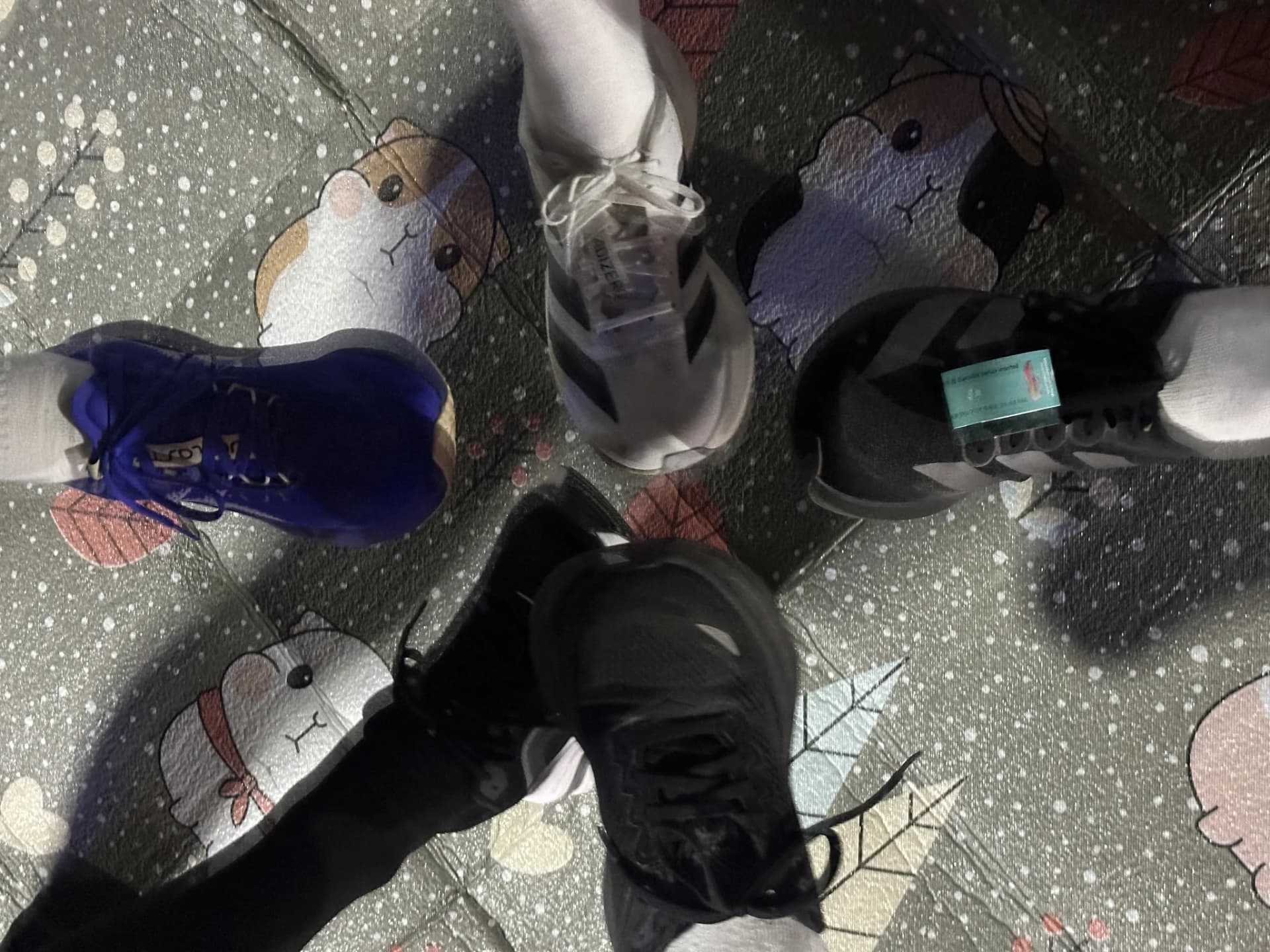 부지런 활동 사진 2