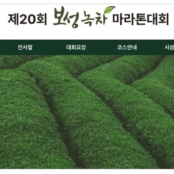 제20회 보성 녹차 마라톤