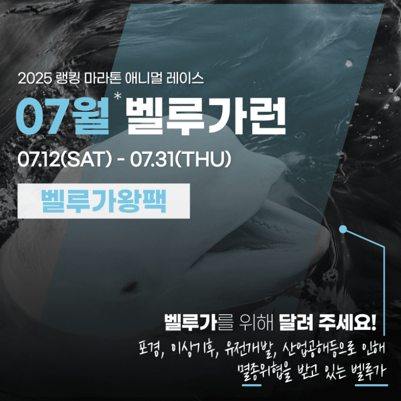 2025 랭킹마라톤 애니멀레이스 07월 벨루가런