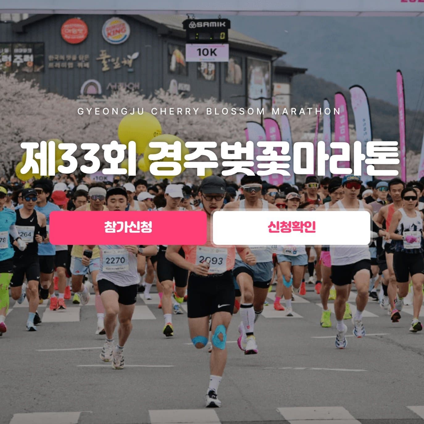 제33회 경주벚꽃마라톤