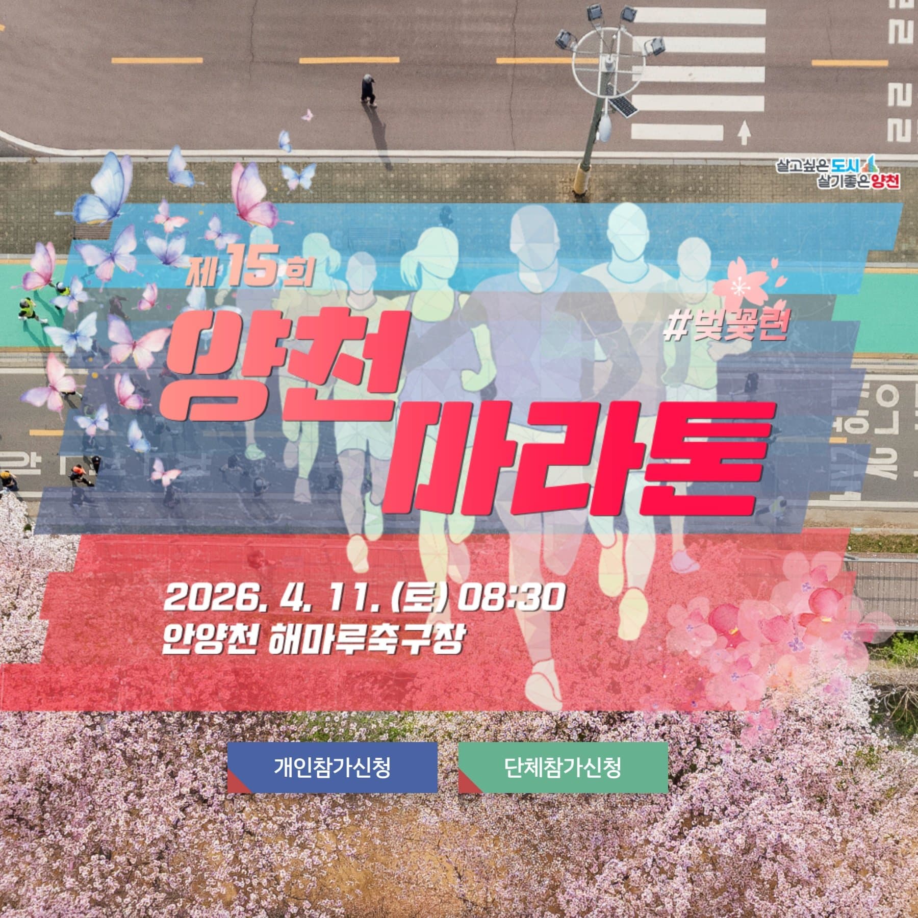 제15회 양천마라톤